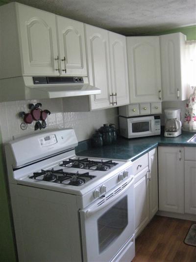 325 Fourth St, Trufant, MI 49347 photo 4