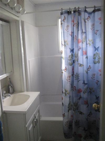 325 Fourth St, Trufant, MI 49347 photo 8