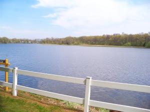 23641 River Run Pt, Mendon, MI 49072 photo 13