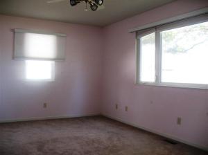 23641 River Run Pt, Mendon, MI 49072 photo 20