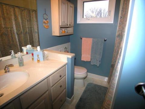 6304 Dunbarton St SE, Ada, MI 49301 photo 11