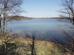 11142 Point Rd, Three Rivers, MI 49093 photo 18