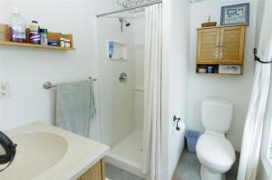700 Walnut, Three Rivers, MI 49093 photo 18