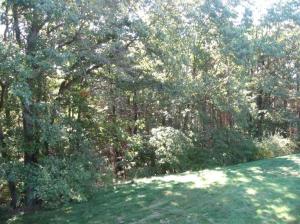 13787 Grindle Dr SE, Lowell, MI 49331 photo 16