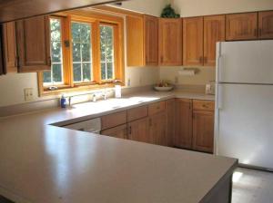 13787 Grindle Dr SE, Lowell, MI 49331 photo 6