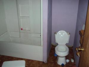 710 Days Ave, Buchanan, MI 49107 photo 4