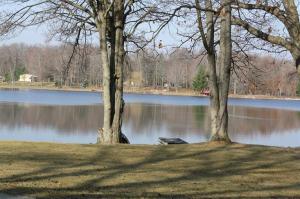 676 W Mohawk Trl, White Cloud, MI 49349 photo 14