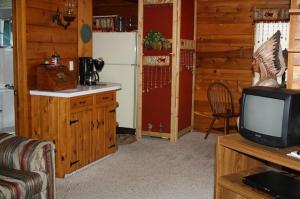 676 W Mohawk Trl, White Cloud, MI 49349 photo 4