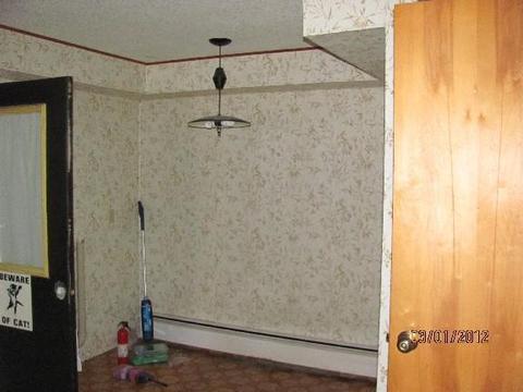 96 S Madison, Custer, MI 49405 photo 4
