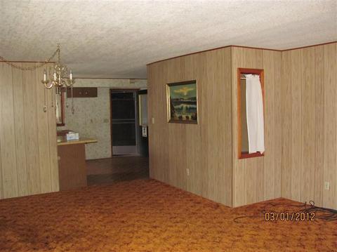 96 S Madison, Custer, MI 49405 photo 7