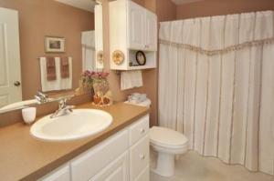 12495 Belding Rd NE, Belding, MI 48809 photo 14