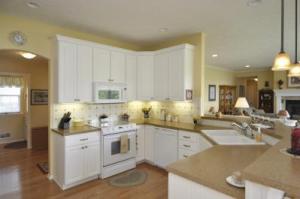 12495 Belding Rd NE, Belding, MI 48809 photo 9