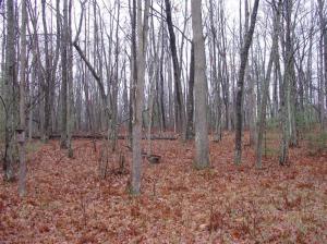 8665 E Us 10, Branch, MI 49402 photo 5
