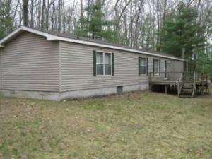 1705 N Wolf Ave, Baldwin, MI 49304 photo 1