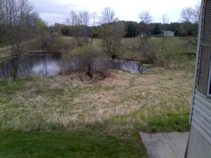 1634 Boyer Rd, Fenwick, MI 48834 photo 9