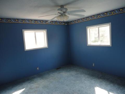 312 Ridge St, Stanton, MI 48888 photo 9
