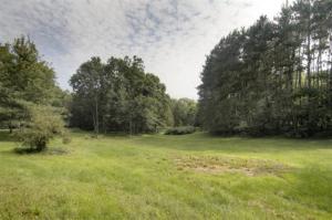 60709 Lutz Rd, Three Rivers, MI 49093 photo 18