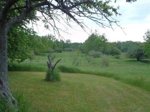 2909 S Custer Rd, Custer, MI 49405 photo 6
