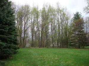 8947 Union Pier Rd, Three Oaks, MI 49128 photo 7