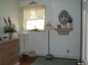 110 Winter St, Olivet, MI 49076 photo 10