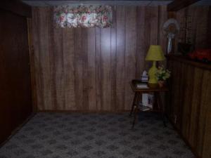 951 Louann Dr, Stanton, MI 48888 photo 12