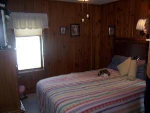 951 Louann Dr, Stanton, MI 48888 photo 10