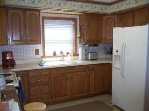 951 Louann Dr, Stanton, MI 48888 photo 6
