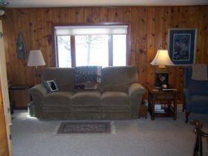 951 Louann Dr, Stanton, MI 48888 photo 5