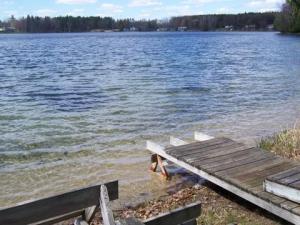 951 Louann Dr, Stanton, MI 48888 photo 15
