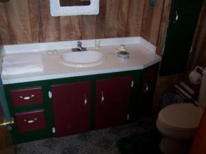 951 Louann Dr, Stanton, MI 48888 photo 13