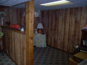 951 Louann Dr, Stanton, MI 48888 photo 11