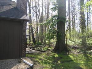 110 Highfield Rd, Marshall, MI 49068 photo 15