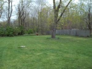 302 Canal St, Augusta, MI 49012 photo 4