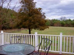 641 2nd St, Plainwell, MI 49080 photo 23