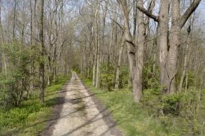 669 Pierce Rd, Plainwell, MI 49080 photo 16