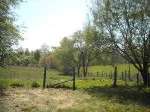 3930 Curran Rd, Buchanan, MI 49107 photo 4