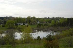 9120 E 48th St, Chase, MI 49623 photo 14