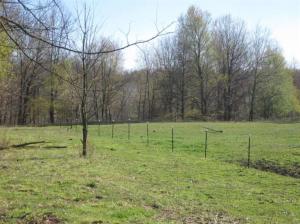 13100 Belding, Belding, MI 48809 photo 10