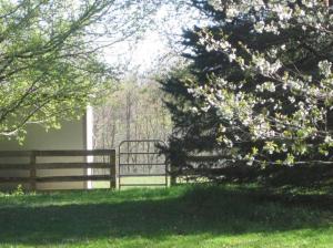 13100 Belding, Belding, MI 48809 photo 5