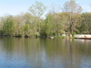66913 Winding River Rd, Constantine, MI 49042 photo 4