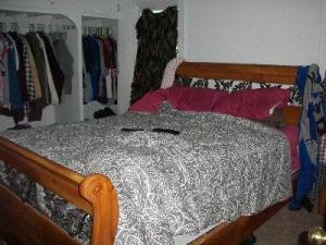 708 N Nottawa Rd, Mendon, MI 49072 photo 6