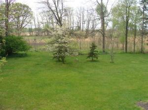 25620 Wise Rd, Gobles, MI 49055 photo 6