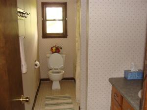 25620 Wise Rd, Gobles, MI 49055 photo 11
