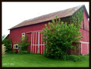 1099 5th, Plainwell, MI 49080 photo 3