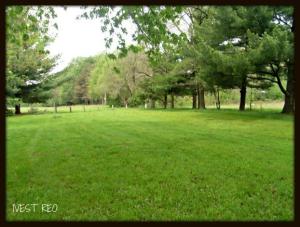1099 5th, Plainwell, MI 49080 photo 5