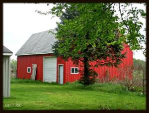 1099 5th, Plainwell, MI 49080 photo 4