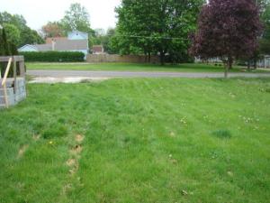 532 Clinton St, Marshall, MI 49068 photo 7