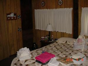 7809 River Rd, Evart, MI 49631 photo 16