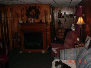 7809 River Rd, Evart, MI 49631 photo 11
