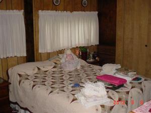 7809 River Rd, Evart, MI 49631 photo 13